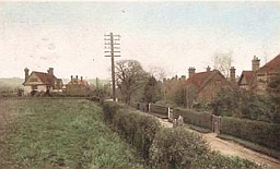 wBHL1910px256 wBHL1910px256